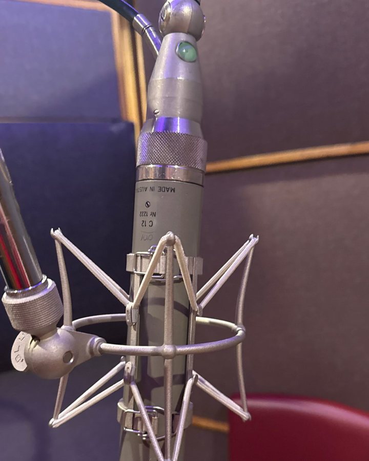 A large-diaphragm vocal mic in its shock mount